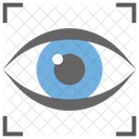 Biometric Scanning Eye Scanning Personal Identification Icon