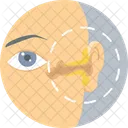 Eye Treatment Eye Test Care Icon