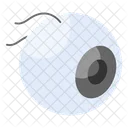 Eyeball Eye Organ Icon