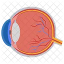 Eyeball Pupil Retina Icon