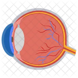 Eyeball  Icon