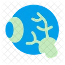 Eyeball Eye Organ Icon