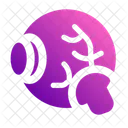 Eyeball Eye Organ Icon