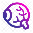 Eyeball Eye Organ Icon