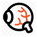 Eyeball Eye Organ Icon
