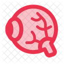 Eyeball Eye Organ Icon