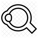Human Eyeball Icon