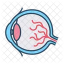 Eyeball  Icon