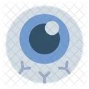 Eyeball Eye Vision Icon