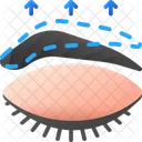 Eyebrow  Icon