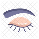 Eyebrow Eye Anatomy Icon