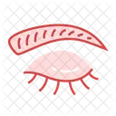 Eyebrow Eye Anatomy Icon