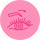 Eyebrows  Icon