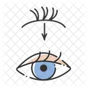 Eyelash Extension Icon