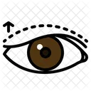 Eyelid surgery  Icon