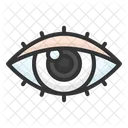 Eyes Eye Sight Icon