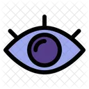 Eyes Security Eyes On Icon