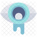 Eyes Organ Human Icon