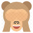 Eyes Covered Monkey  Icon