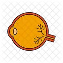 Eyes Eye Human Organs Icon
