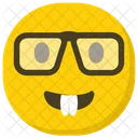 Faccia Da Nerd Emoji Emoticon Icon