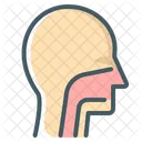 Face  Icon