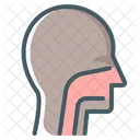 Face  Icon