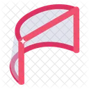 Face Shield  Icon