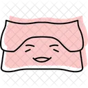 Face Towel Facetowel Towel Icon