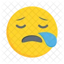 Facewithtears  Icon