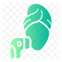 Facial  Icon