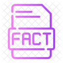 Fact Facts Paper Icon