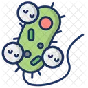 Fagositosis  Icon