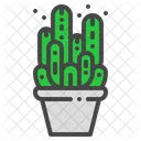 Fairy Castle Cactus Icon