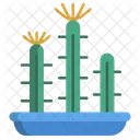 Fairy Castle Cactus Cactus Pot Cactus Plant Icon