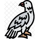 Falcão  Ícone