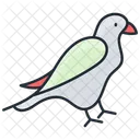 鷹、鳥、鷲 アイコン