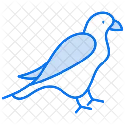 Falcon  Icon