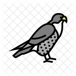 Falcon  Icon