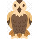 Falcon Bird Hunter Icon