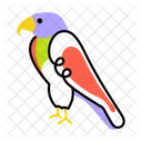 Falcon Bird Prey Bird Falcon Eagle Icon