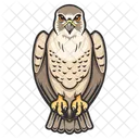 Falcon Bird Eagle Icon