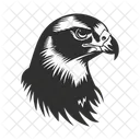 Falcon Bird Eagle Icon