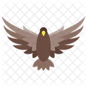 Falcon Bird Eagle Icon