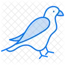 Falcon Bird Eagle Icon