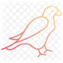 Falcon  Icon
