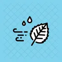 Wind Windy Weather Icon
