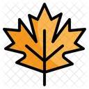 Fall Leaf  Icon