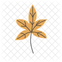 Autumn Nature Fall Icon