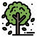 Autumn Leaf Tree Icon
